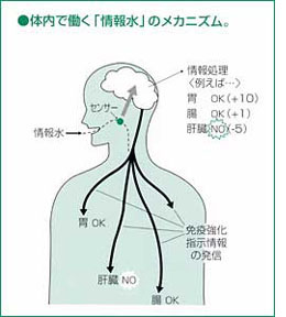 石井禮次郎