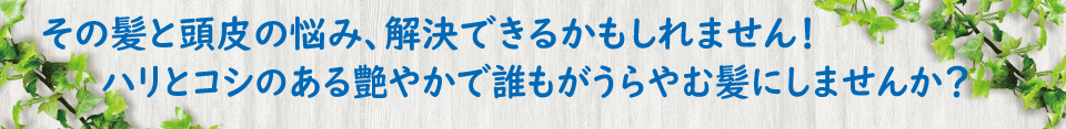 頭皮のかゆみ、無添加シャンプー